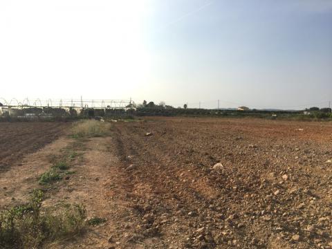 Finca d'Alcanar transformada en hort ecològic